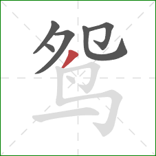 鸳的笔顺第6画：撇