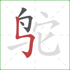 鸵的笔顺第4画：竖折折钩