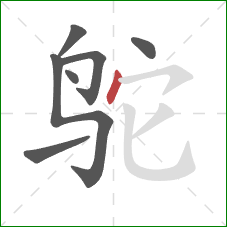 鸵的笔顺第7画：点