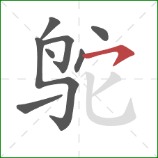 鸵的笔顺第8画：横钩