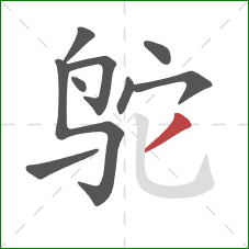 鸵的笔顺第9画：撇