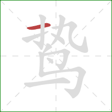 鸷的笔顺第1画：横