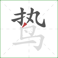 鸷的笔顺第7画：撇