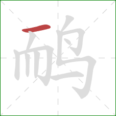 鸸的笔顺第1画：横