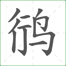 鸻的部首 鸻的部首