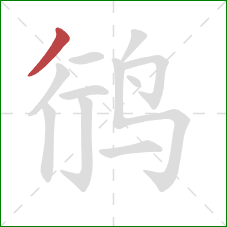 鸻的笔顺第1画:撇 鸻的笔顺第1画:撇