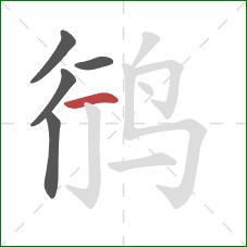 鸻的笔顺第5画:横 鸻的笔顺第5画:横