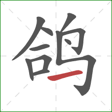 鸽的笔顺第11画：横