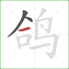 鸽的笔顺第3画：横