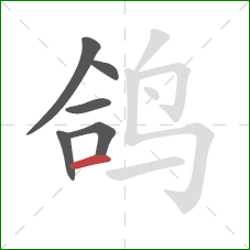 鸽的笔顺第6画：横