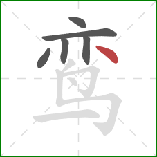 鸾的笔顺第6画:点 鸾的笔顺第6画:点