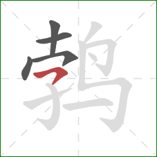 鹁的笔顺第5画：横撇