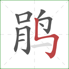 鹃的笔顺第11画：竖折折钩