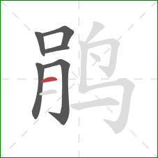 鹃的笔顺第6画：横