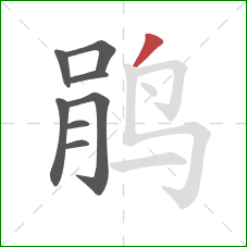 鹃的笔顺第8画：撇