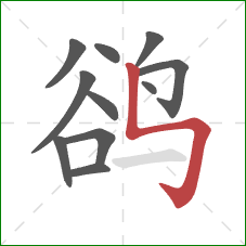 鹆的笔顺第11画：竖折折钩