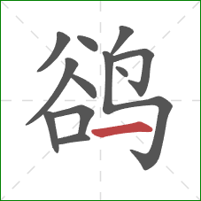 鹆的笔顺第12画：横