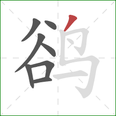 鹆的笔顺第8画：撇