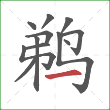 鹈的笔顺第12画:横 鹈的笔顺第12画:横