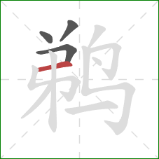 鹈的笔顺第4画:横 鹈的笔顺第4画:横