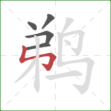 鹈的笔顺第5画:竖折折钩 鹈的笔顺第5画:竖折折钩