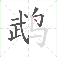 鹉的笔顺第11画:点 鹉的笔顺第11画:点