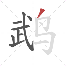 鹉的笔顺第9画:撇 鹉的笔顺第9画:撇