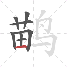 鹋的笔顺第8画：横