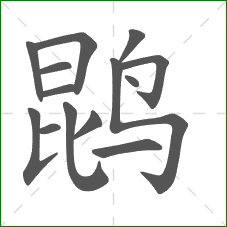 鹍的部首 鹍的部首