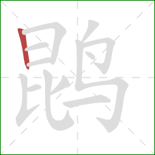 鹍的笔顺第1画:竖 鹍的笔顺第1画:竖