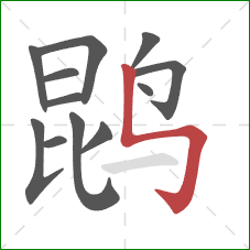 鹍的笔顺第12画:竖折折钩 鹍的笔顺第12画:竖折折钩