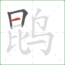 鹍的笔顺第3画:横 鹍的笔顺第3画:横