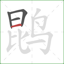 鹍的笔顺第4画:横 鹍的笔顺第4画:横