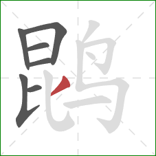 鹍的笔顺第7画:横 鹍的笔顺第7画:横