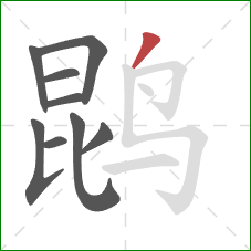 鹍的笔顺第9画:撇 鹍的笔顺第9画:撇