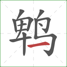 鹎的笔顺第13画：横
