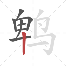 鹎的笔顺第8画：竖