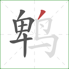 鹎的笔顺第9画：撇