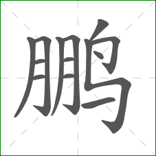 鹏的部首 鹏的部首