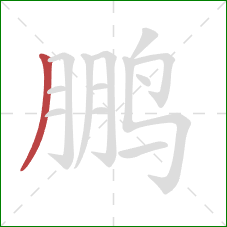 鹏的笔顺第1画:撇 鹏的笔顺第1画:撇