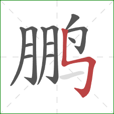 鹏的笔顺第12画:竖折折钩 鹏的笔顺第12画:竖折折钩