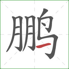 鹏的笔顺第13画:横 鹏的笔顺第13画:横