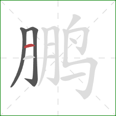 鹏的笔顺第3画:横 鹏的笔顺第3画:横