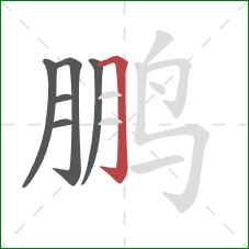 鹏的笔顺第6画:横折钩 鹏的笔顺第6画:横折钩