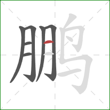 鹏的笔顺第7画:横 鹏的笔顺第7画:横