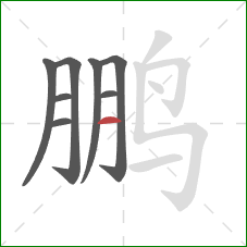 鹏的笔顺第8画:横 鹏的笔顺第8画:横