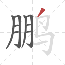 鹏的笔顺第9画:撇 鹏的笔顺第9画:撇