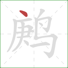 鹒的笔顺第1画：点