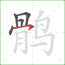 鹘的笔顺第5画:横钩 鹘的笔顺第5画:横钩