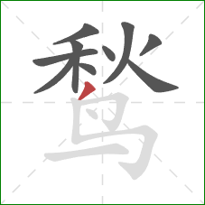 鹙的笔顺第10画:撇 鹙的笔顺第10画:撇